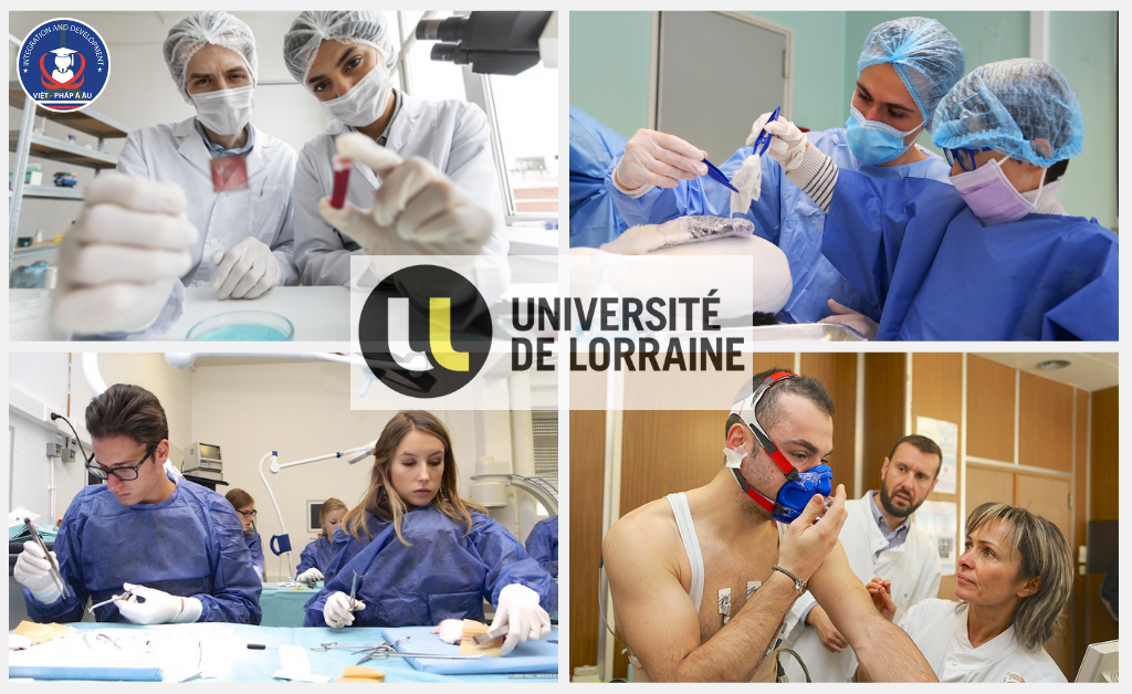 Đại học Lorraine, Pháp